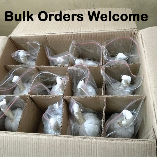 Massage Potali - Image 5